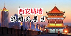 日本大鸡巴疯狂操老骚逼中国陕西-西安城墙旅游风景区